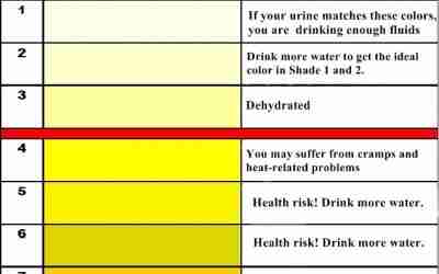 Hydration Strategies for The London Marathon