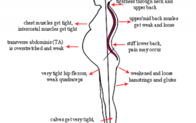 The effects of pregnancy on your body